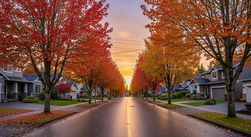 Fairwood Leaf Removal