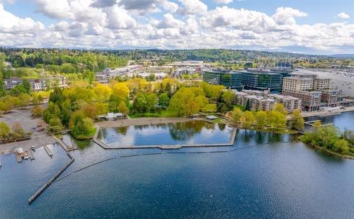 Renton Weed Trimming