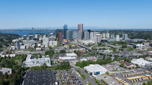 Bellevue Weed Trimming