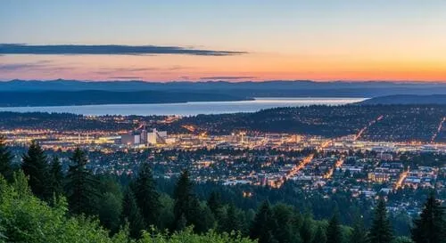 SeaTac Weed Trimming
