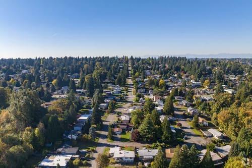 Tukwila Weed Trimming