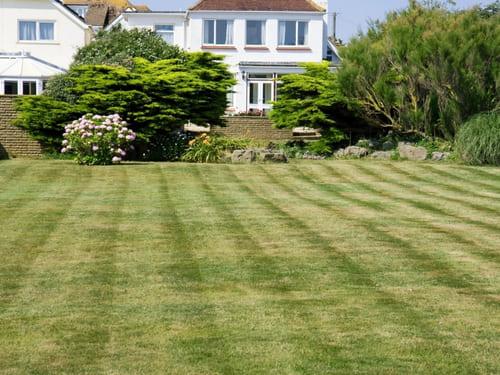 Lawn Edging