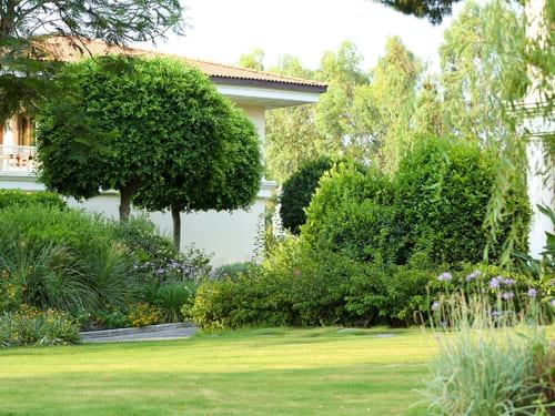 Lawn Edging