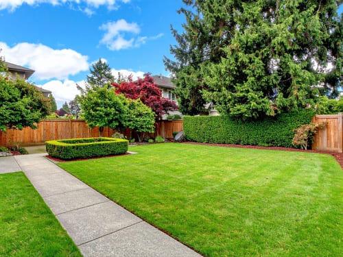 Lawn Edging