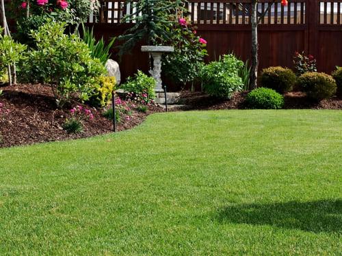 Lawn Edging