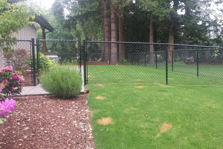 cedar rapids fencing chain link fence black in yard