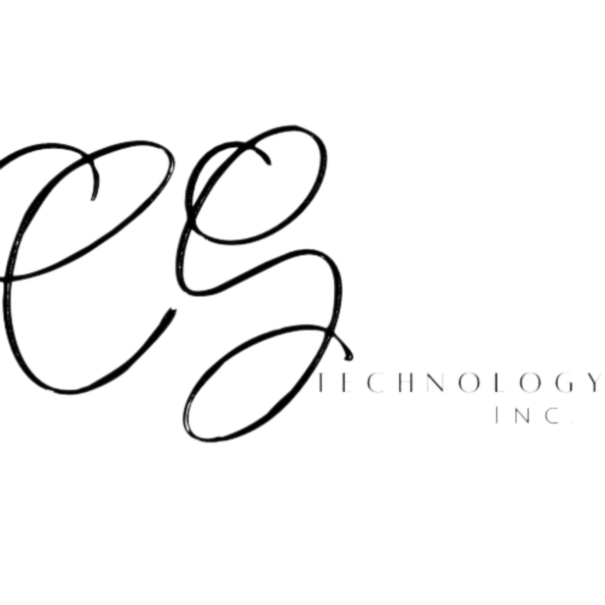 CS Technology Inc.