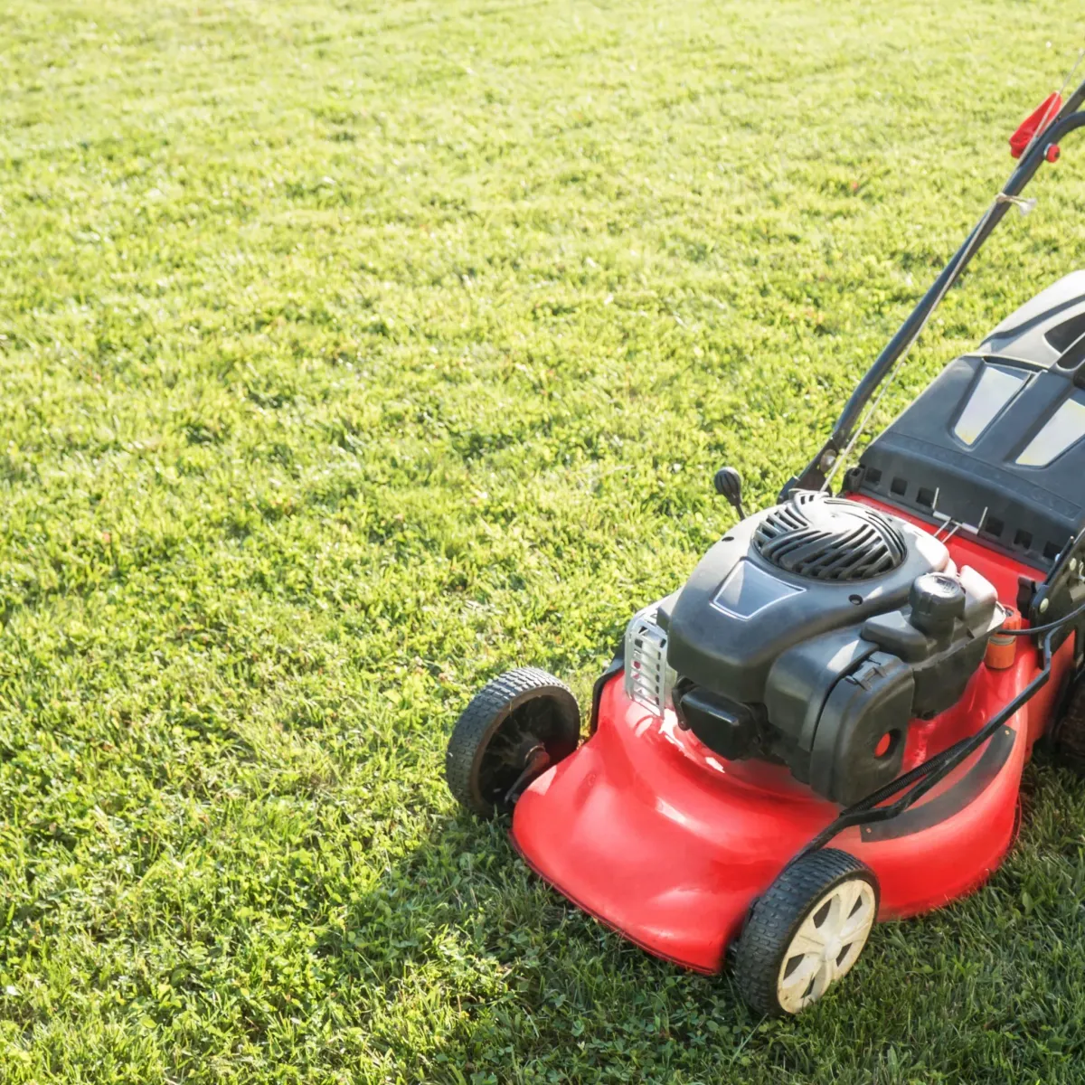 Precision Mowing |