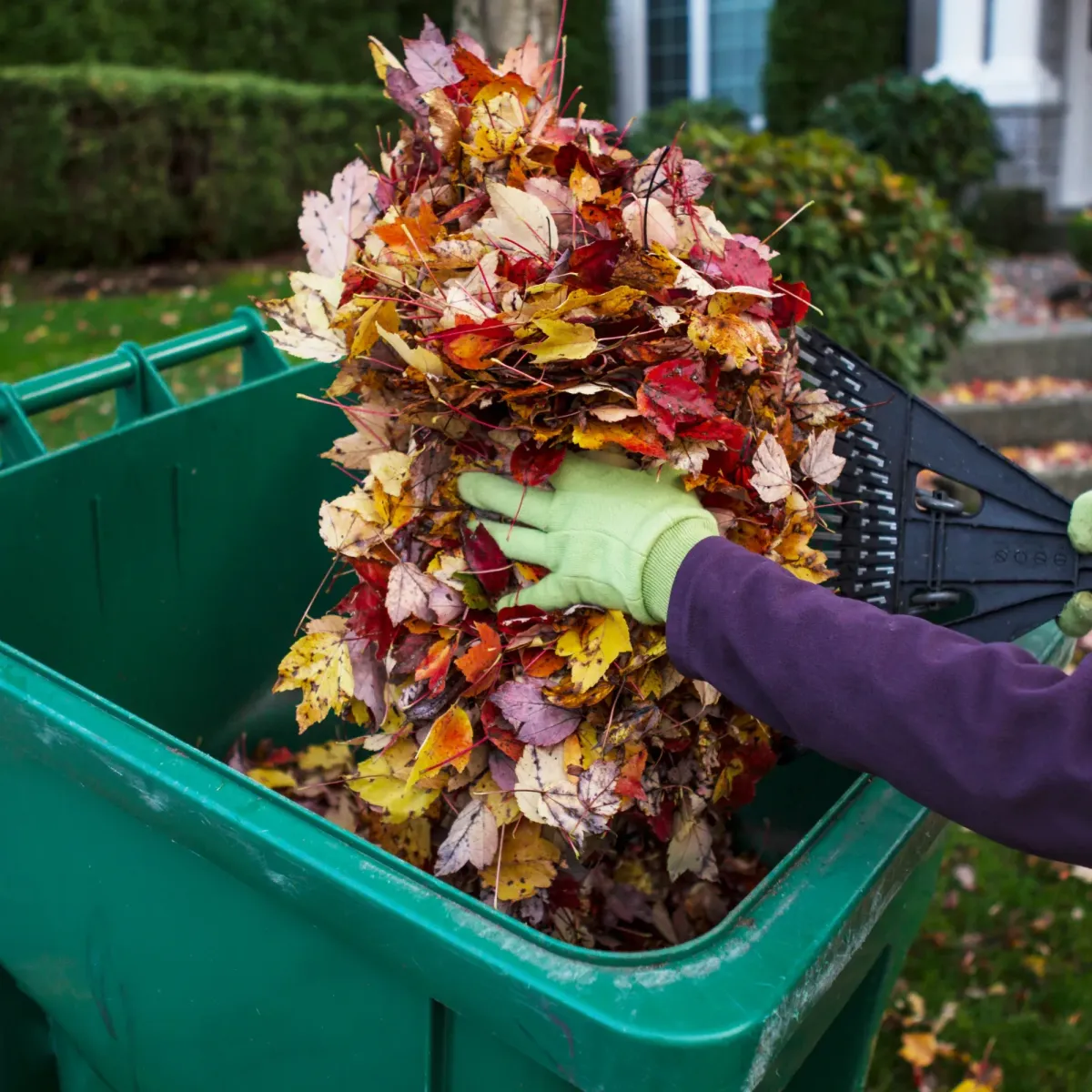Seasonal Yard Cleanup | J&M Lawncare Services Inc.