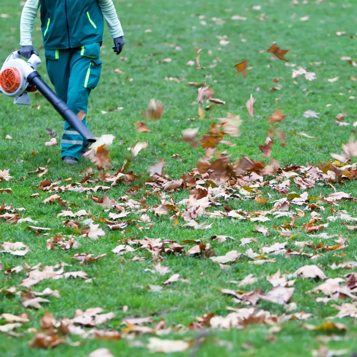 Leaf & Debris Removal | J&M Lawncare Services Inc.