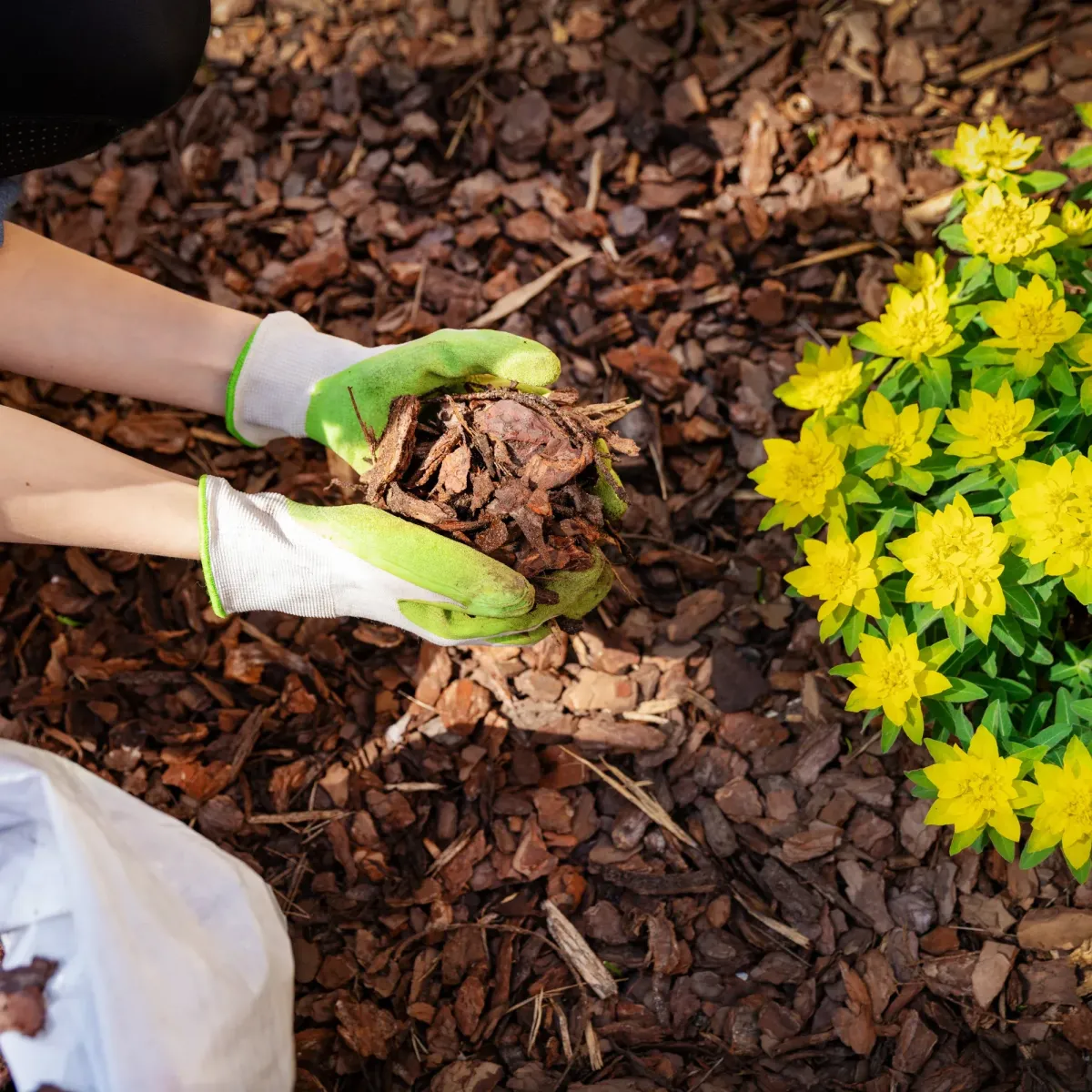 Mulch & Garden Beds | J&M Lawncare Services Inc.