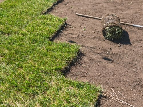 Sod Installation in Daphne
