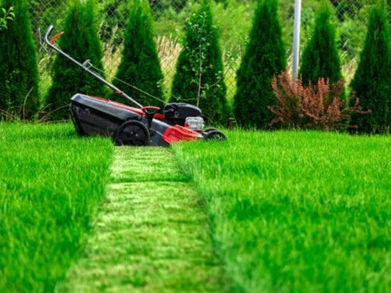 Silverhill Landscape Design