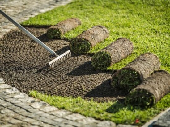  Landscape Design