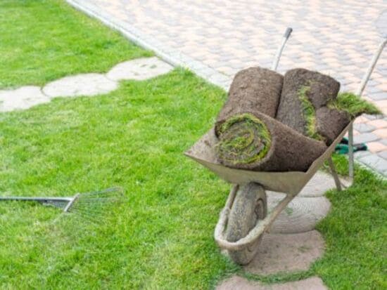  Landscape Design
