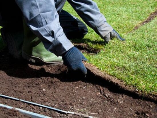 Fairhope Sod Installation