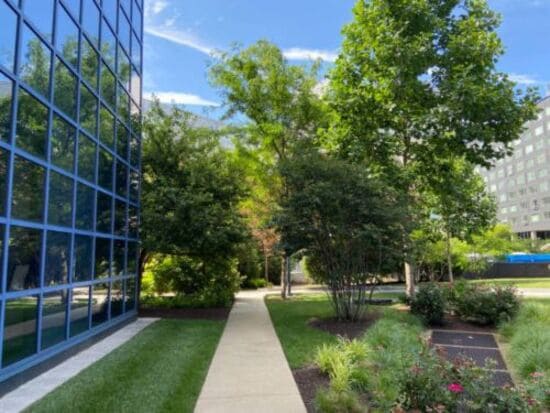 Fairhope Commercial Property Maintenance