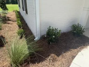 Residential Lawn Care Daphne