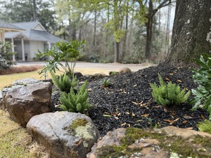 Drainage Solutions Daphne