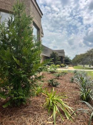 Paver Driveway Installation Daphne