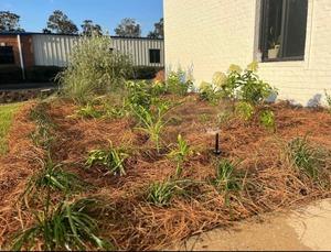 Landscape Design Daphne