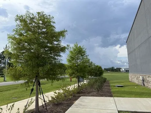 Commercial Property Maintenance in Daphne