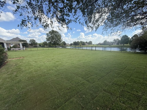Sod Installation in Daphne