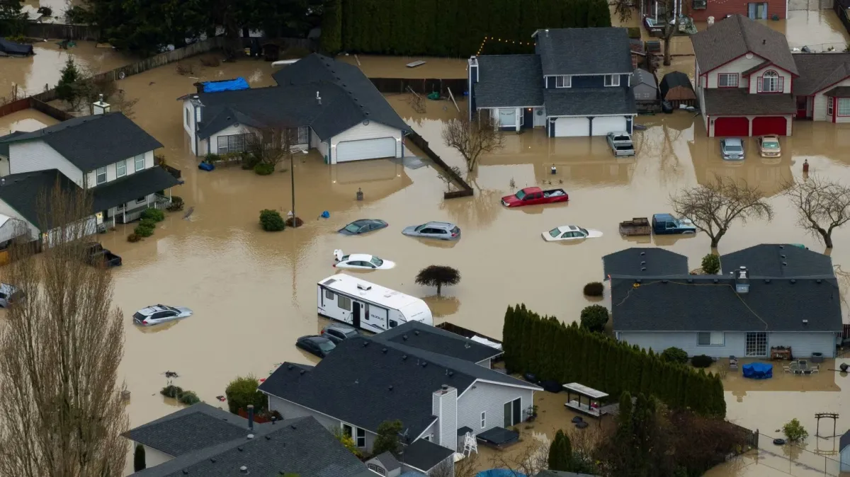 A forest landscape with a small lake and path.