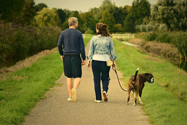 Why Walking Might Be the Ultimate Midlife Workout