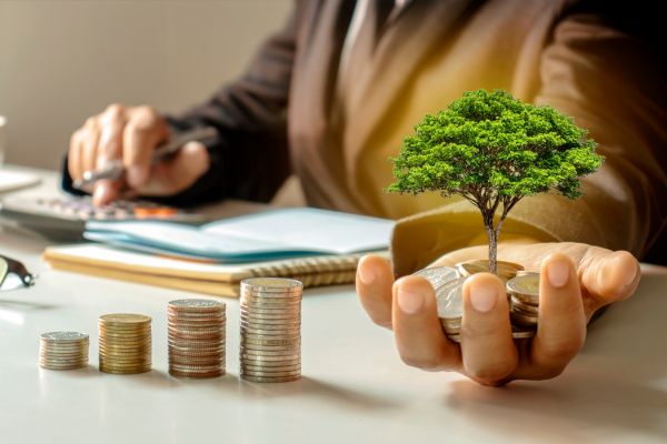 What Nobody Tells You About Investing