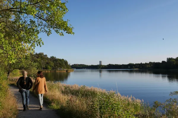Why Every Midlifer Needs a Walking Habit