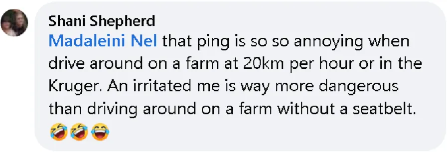 Buckle Buddy Seatbelt Dummy Silencer