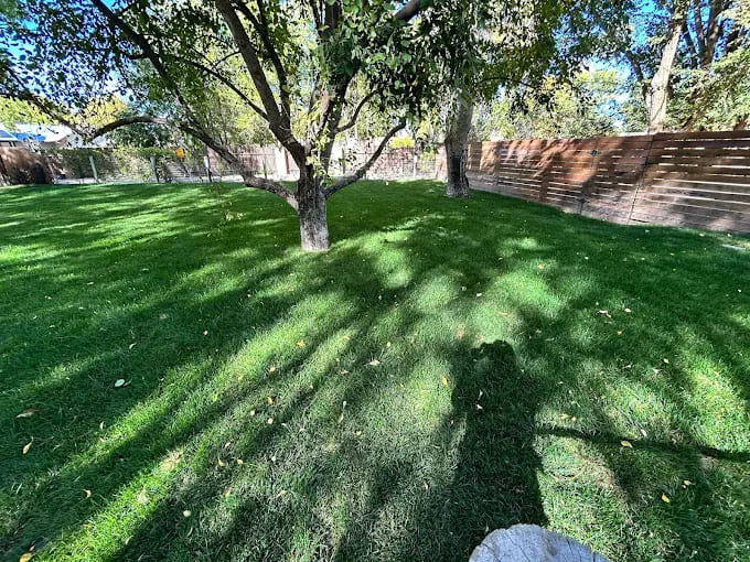 Rio Rancho Turf Intallation