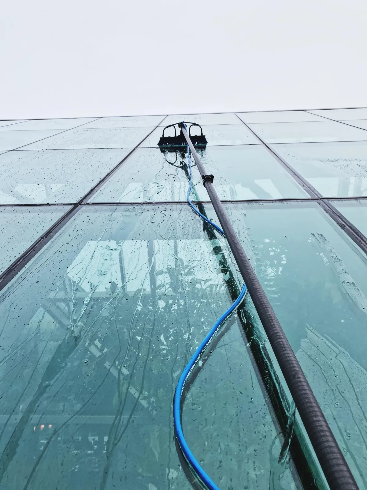 Window Cleaning