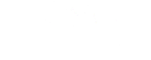 Boise Dance Alliance logo