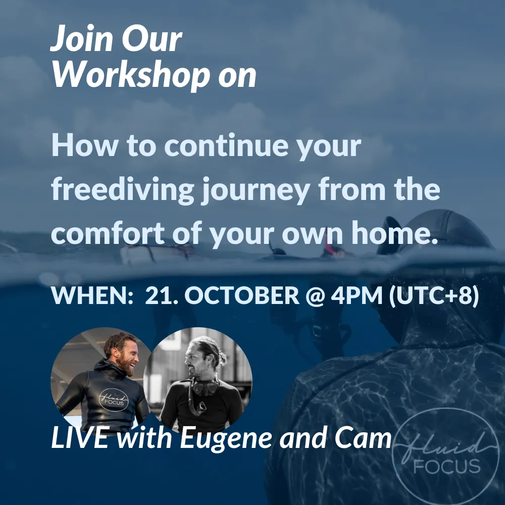 Fluid Focus Workshop