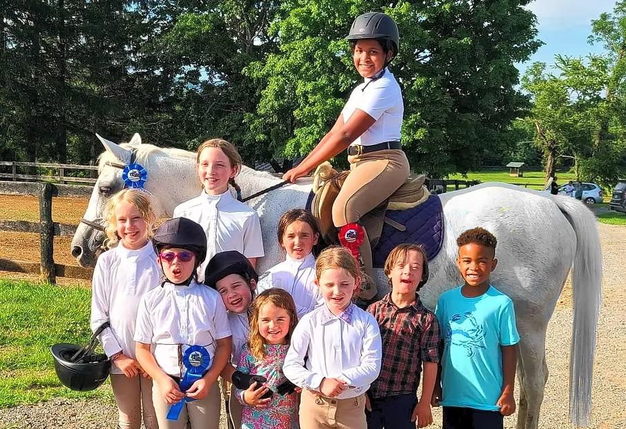 A person rides a horse in a sand arena.