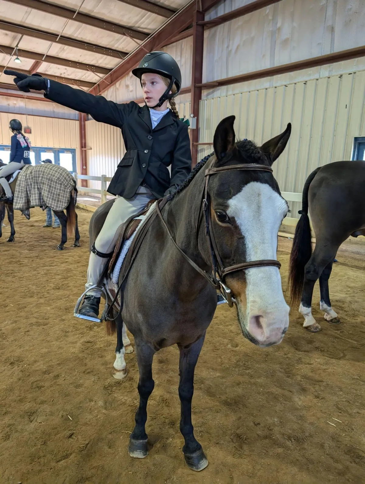 a group of horses standing around in a fenced in area