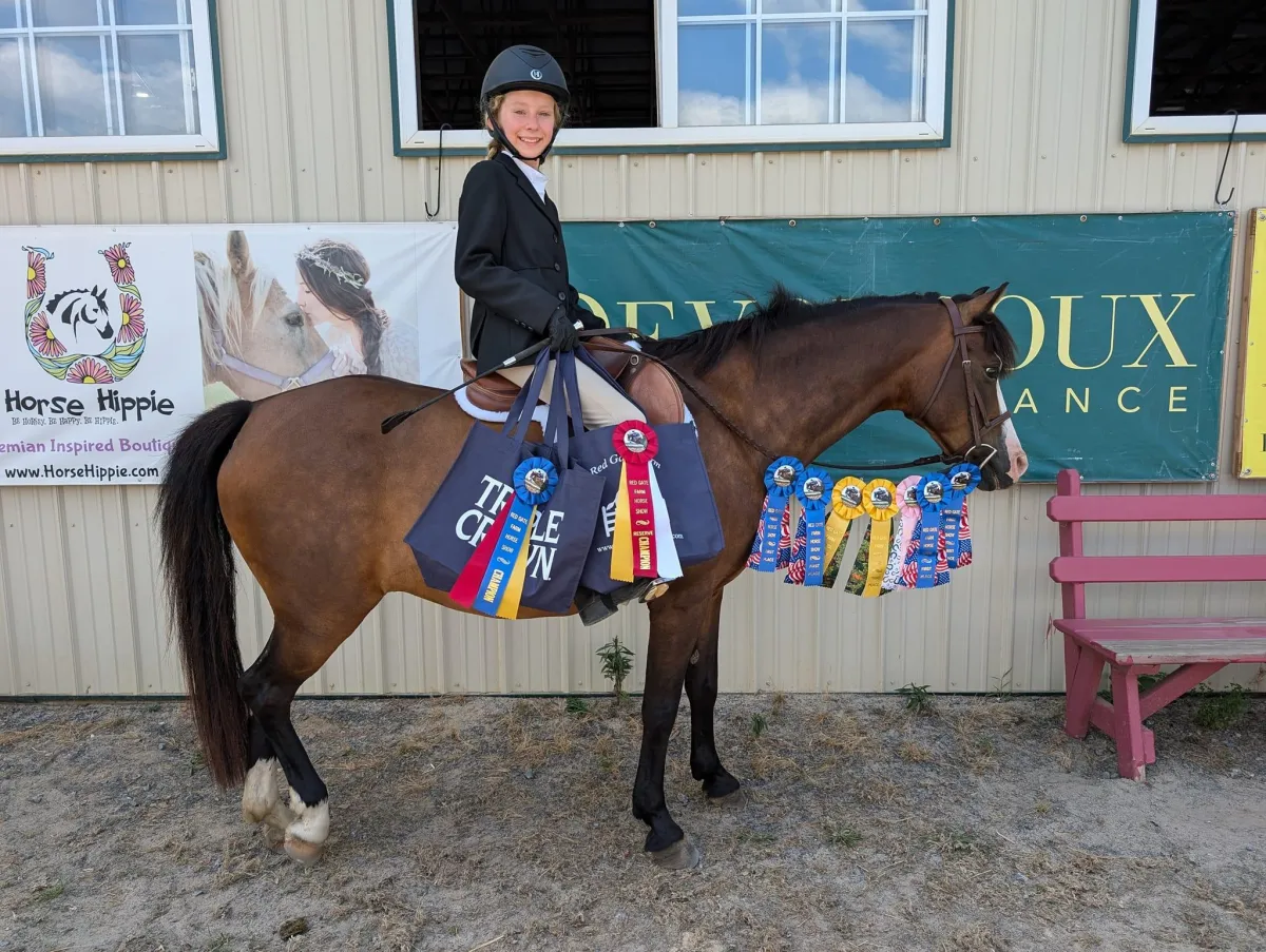 A person rides a horse in a sand arena.