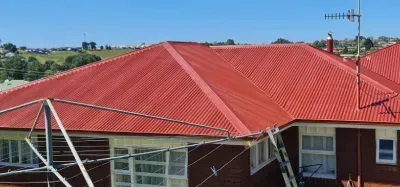 Roof Painting