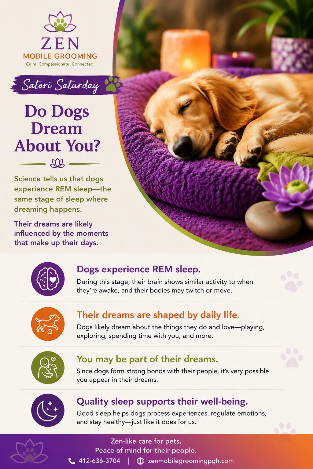 Dogs & Dreams