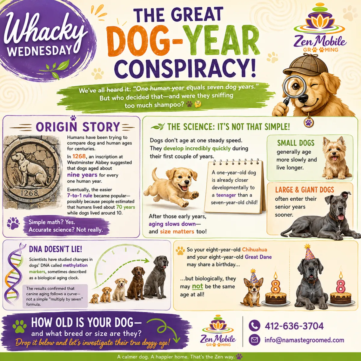 The Great Dog Conspiracy