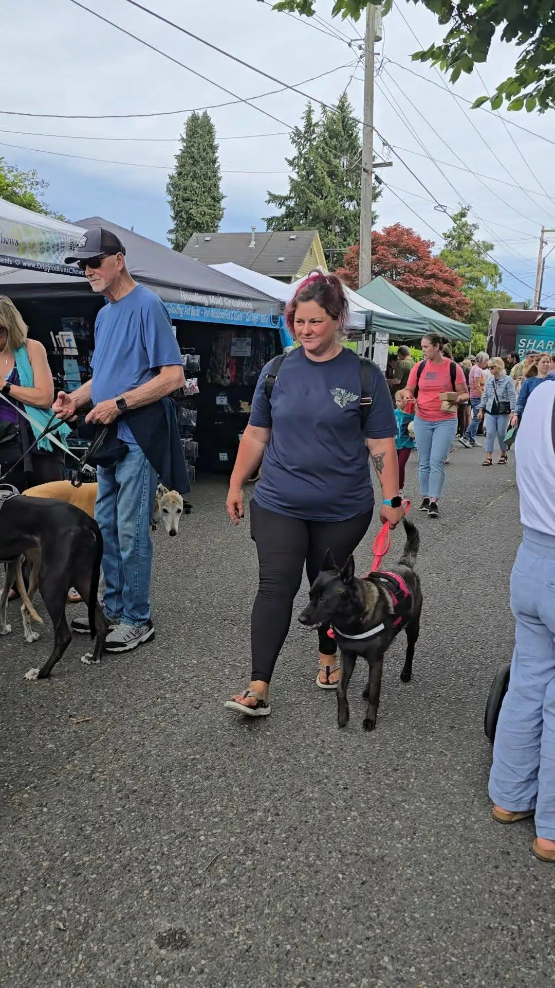 Guest Blog - A Landlord's Guide to Cultivating a Welcoming Environment for Service Dog Teams