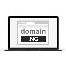 domain management