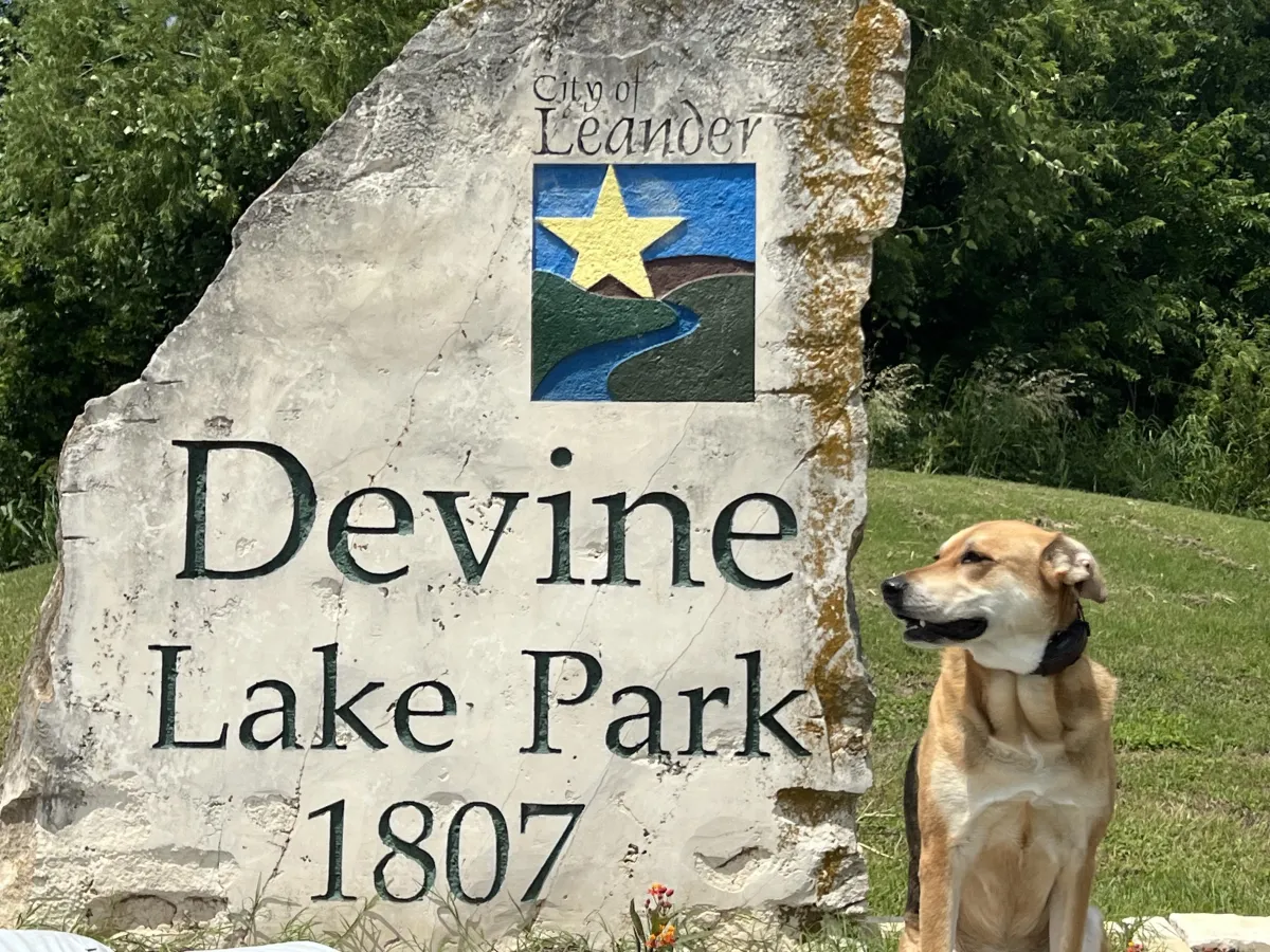 a dog training with Hill Country K9 in Leander Texas