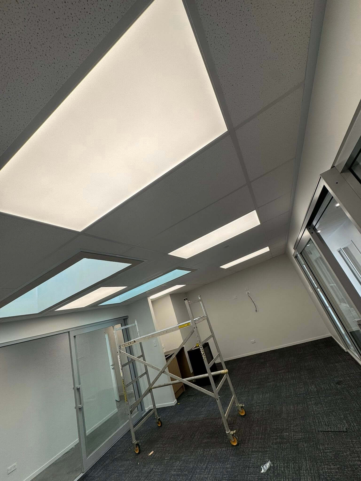 grid and tile ceiling system office and commercial new plymouth taranaki