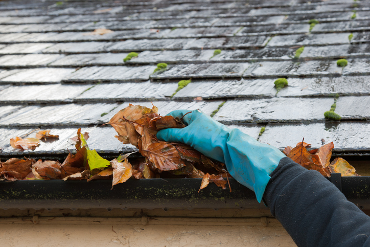 Gutter Cleaning Louisville
