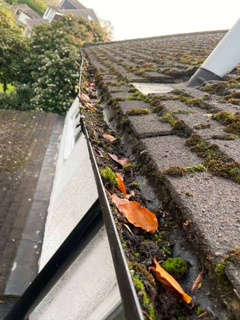 Louisville Gutter Cleaning