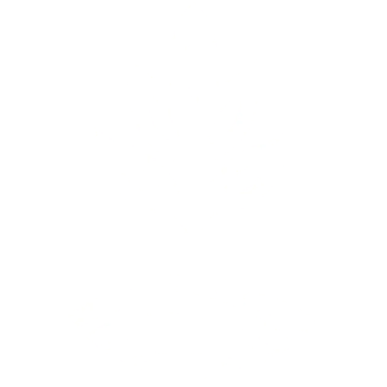 Acrospire Healthcare Solutions