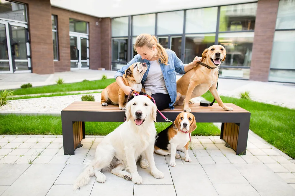 Veterinary Practice Management 101 [Updated 2026]